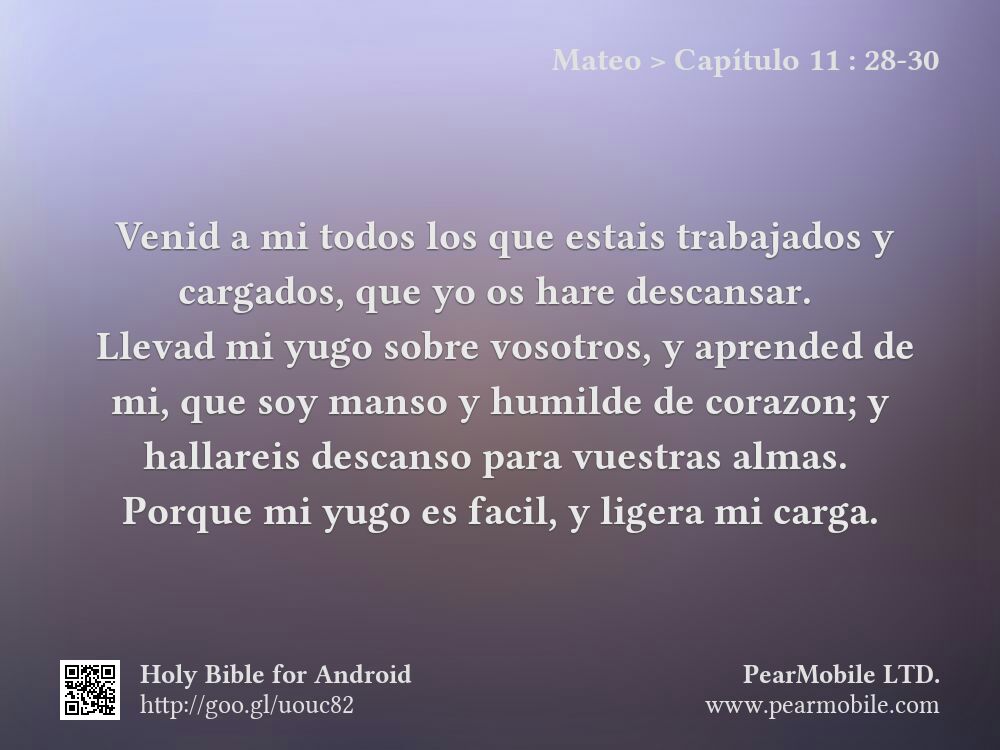 Mateo, Capítulo 11:28-30